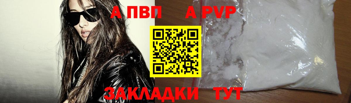 Альфа ПВП СК Новодвинск