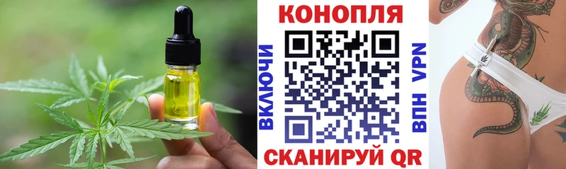 Cannafood конопля  Новодвинск 