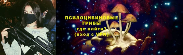 дмт Лабытнанги