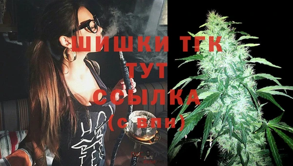 ECSTASY Ладушкин