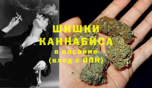 ECSTASY Ладушкин