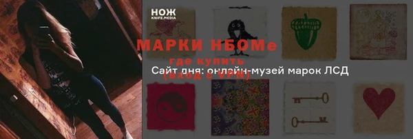 дмт Лабытнанги