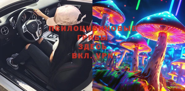 мдпв Бежецк