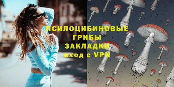 СК Лагань
