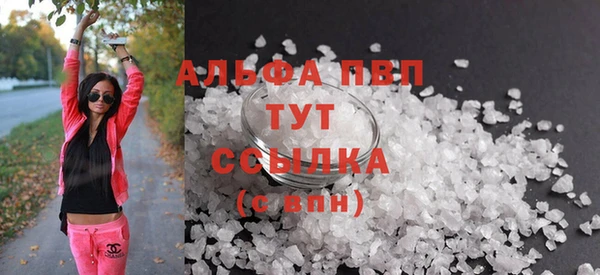 ECSTASY Ладушкин