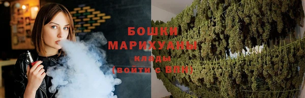 ECSTASY Ладушкин