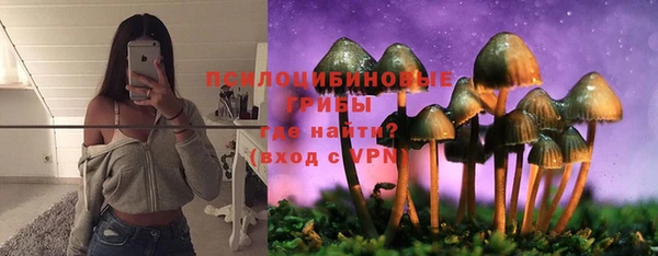 дмт Лабытнанги