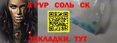 apvp Камышлов