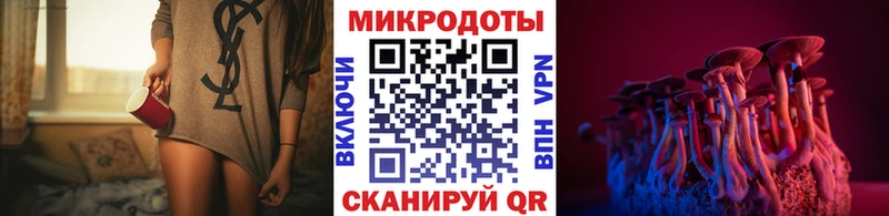 Галлюциногенные грибы Cubensis  где продают   Новодвинск 