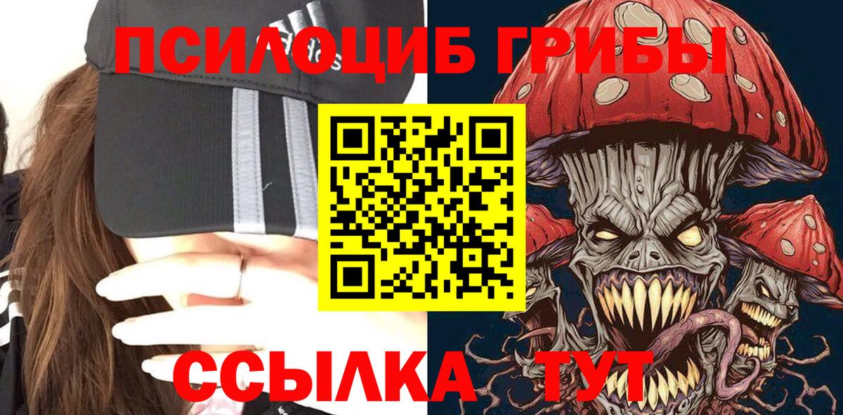 Новодвинск  Псилоцибиновые грибы прущие грибы  Вход с VPN 