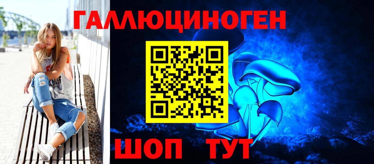 Псилоцибиновые грибы Psilocybine cubensis Новодвинск