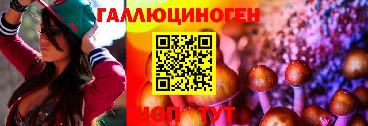 Галлюциногенные грибы MAGIC MUSHROOMS  Галлюциногенные грибы Psilocybe  Новодвинск 